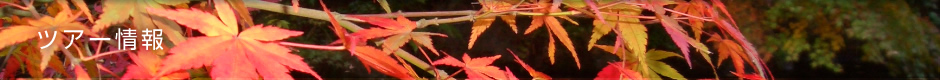 ツアー情報